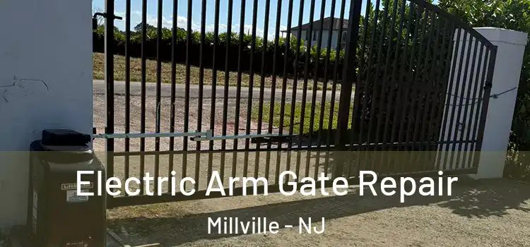 Electric Arm Gate Repair Millville - NJ