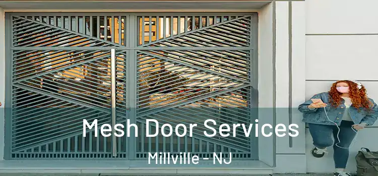 Mesh Door Services Millville - NJ